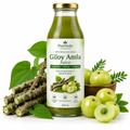 Ayurvedic Giloy Amla Juice bottle